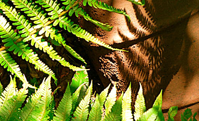 私密保护严密的ddos攻击ip软件下载